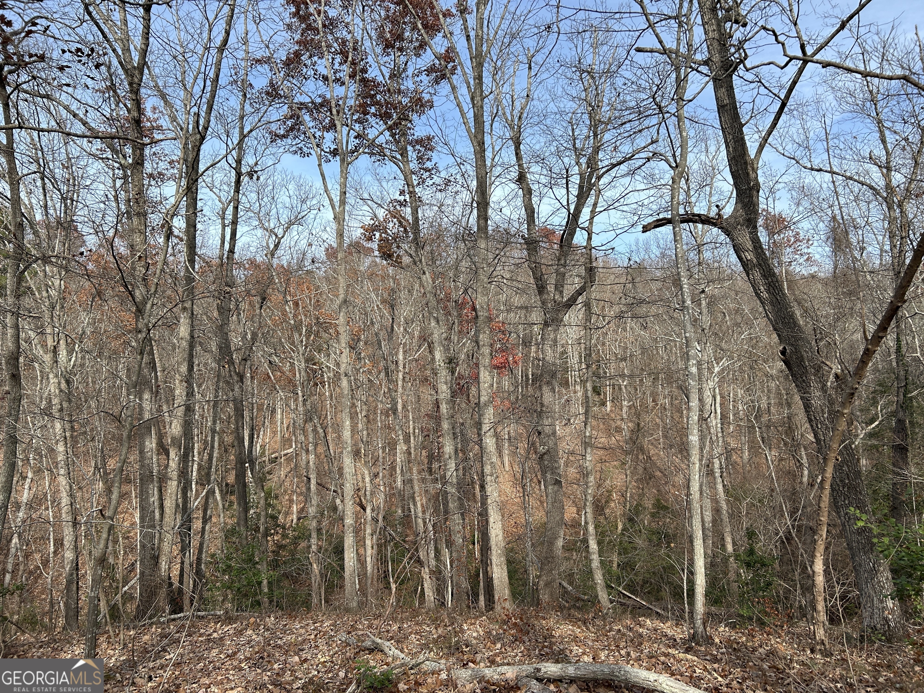 0 Highway 105 Baldwin GA 30511