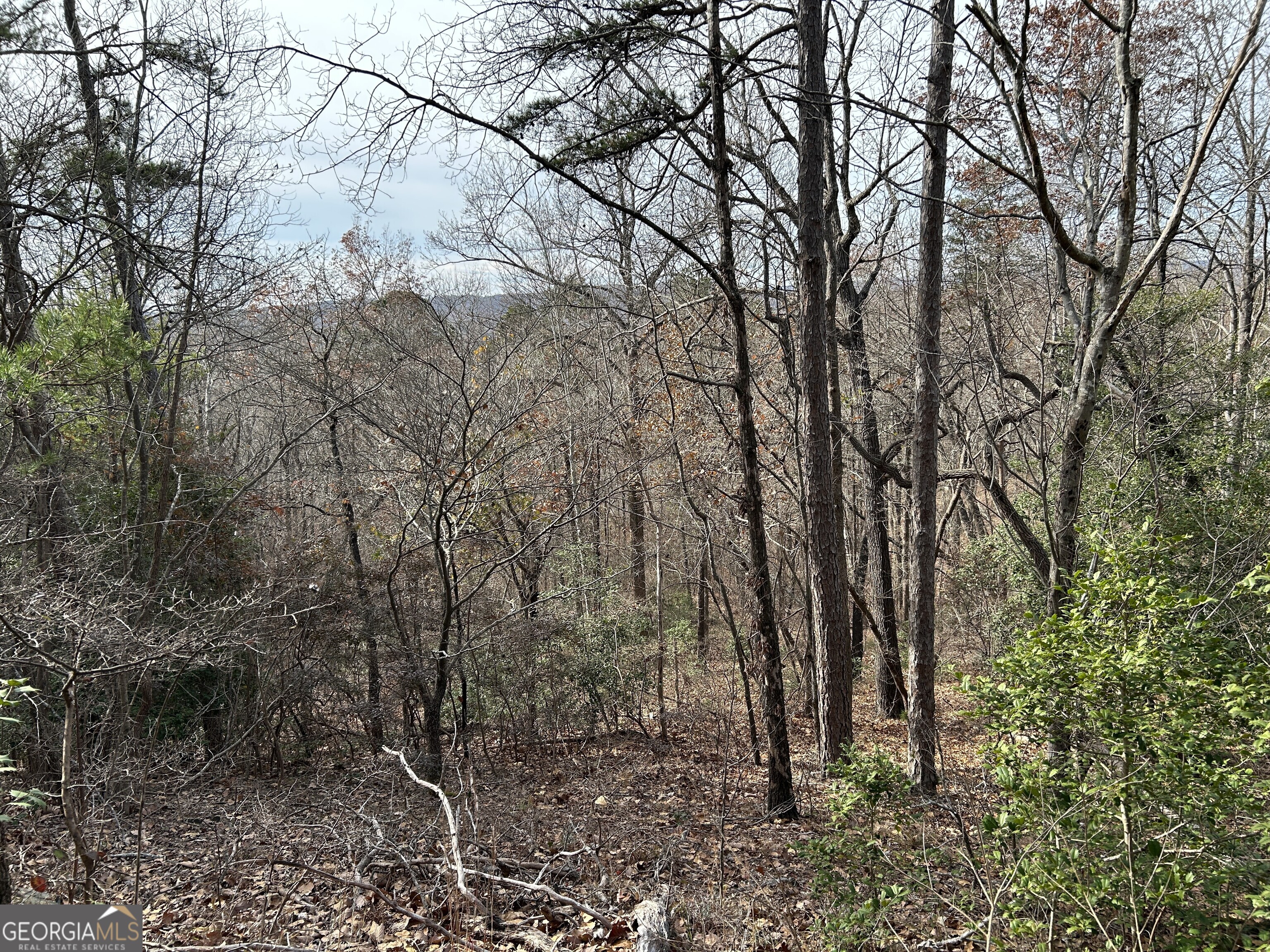 0 Highway 105 Baldwin GA 30511