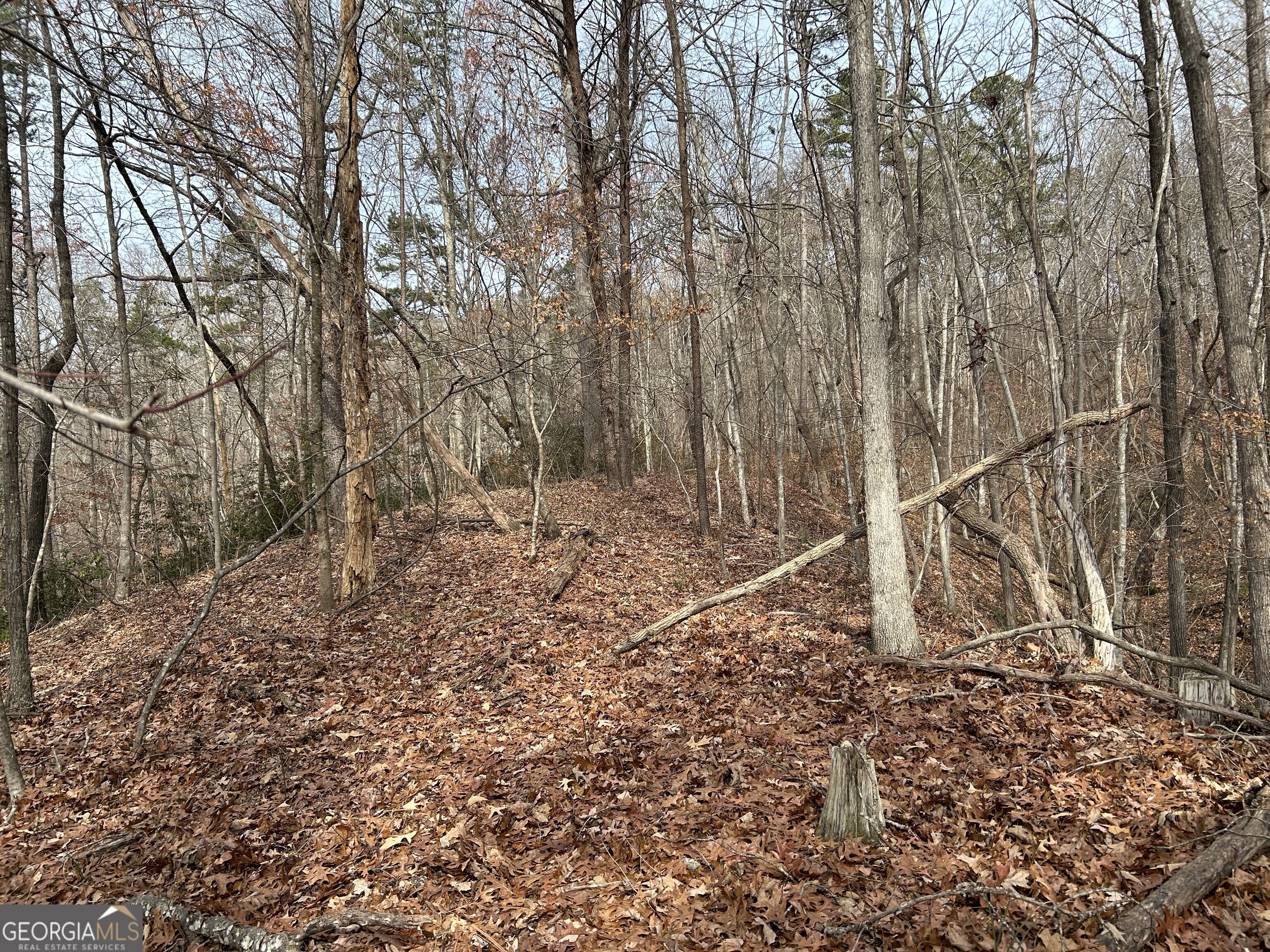 0 Highway 105 Baldwin GA 30511