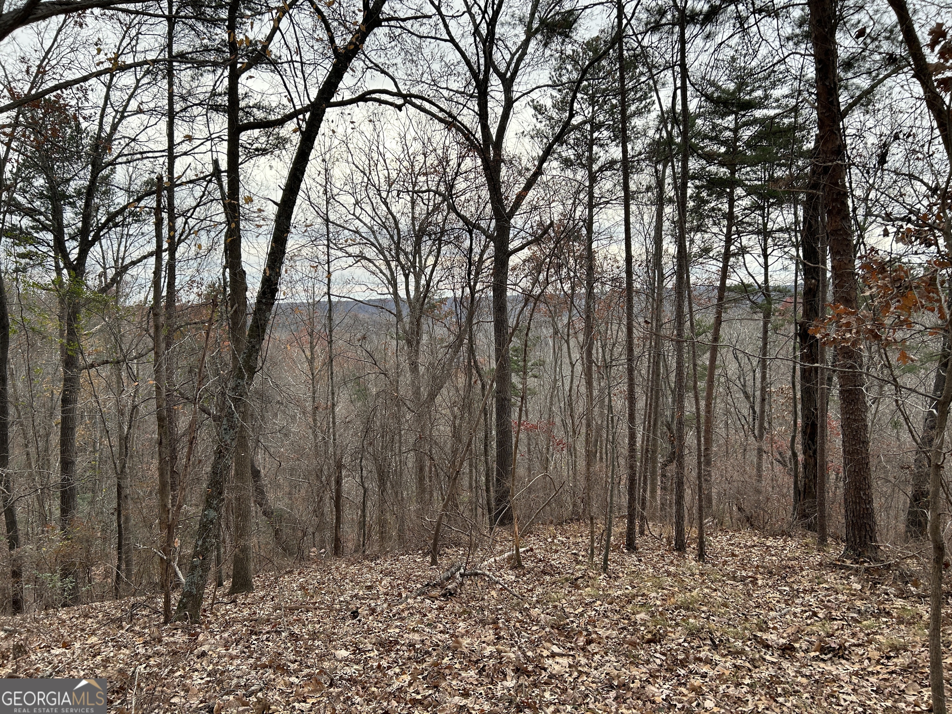 0 Highway 105 Baldwin GA 30511