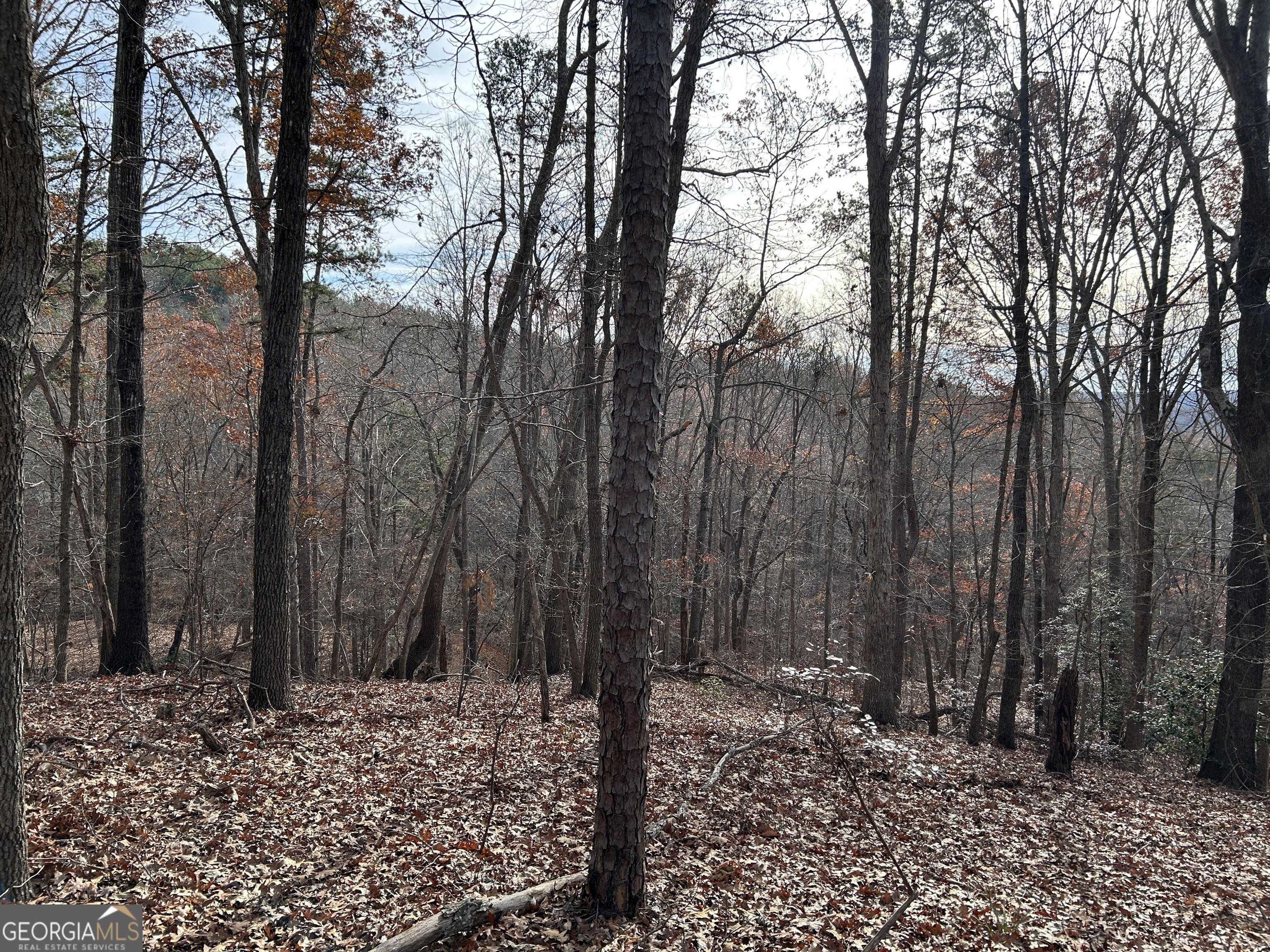 0 Highway 105 Baldwin GA 30511