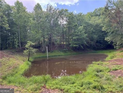 0 Ben Higgins Road Dahlonega GA 30533