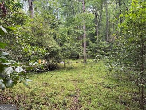 0 Ben Higgins Road Dahlonega GA 30533