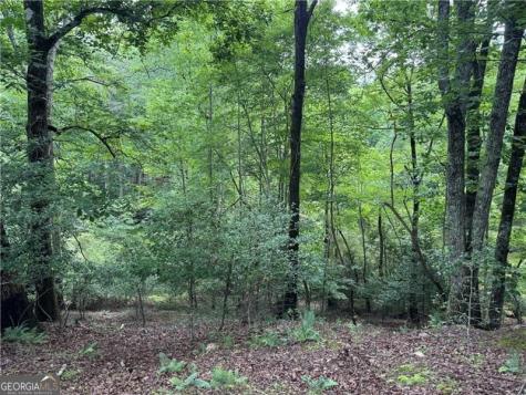 0 Ben Higgins Road Dahlonega GA 30533