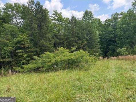 0 Ben Higgins Road Dahlonega GA 30533