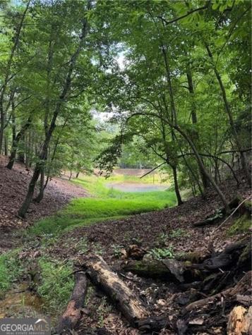 0 Ben Higgins Road Dahlonega GA 30533