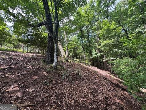 0 Ben Higgins Road Dahlonega GA 30533
