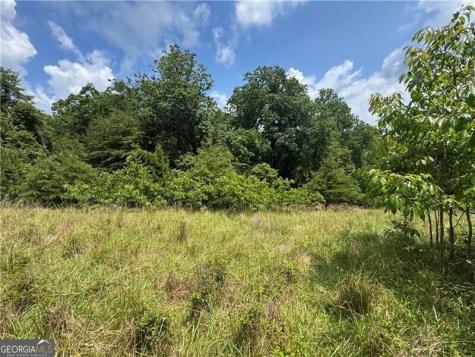 0 Ben Higgins Road Dahlonega GA 30533