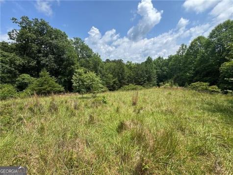 0 Ben Higgins Road Dahlonega GA 30533