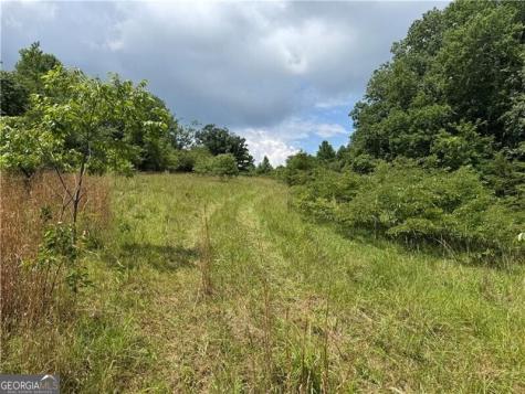 0 Ben Higgins Road Dahlonega GA 30533
