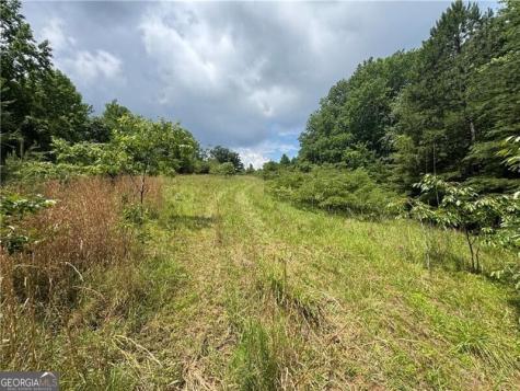 0 Ben Higgins Road Dahlonega GA 30533