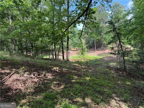 0 Ben Higgins Road Dahlonega GA 30533