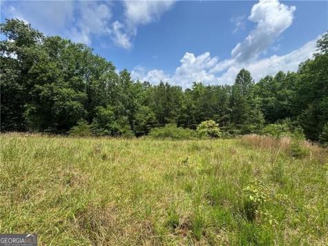 0 Ben Higgins Road Dahlonega GA 30533