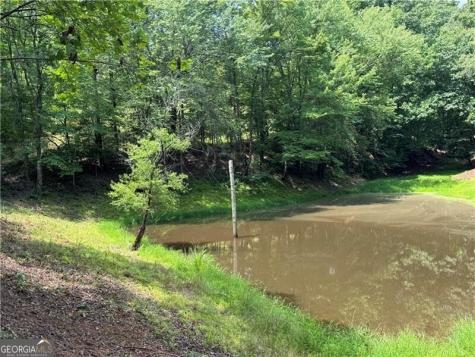 0 Ben Higgins Road Dahlonega GA 30533