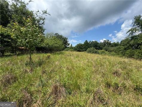 0 Ben Higgins Road Dahlonega GA 30533