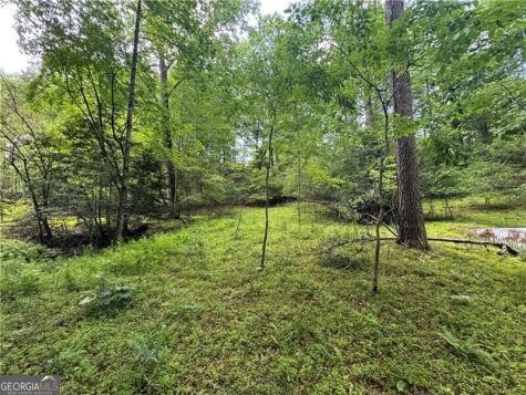 0 Ben Higgins Road Dahlonega GA 30533