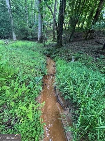 0 Ben Higgins Road Dahlonega GA 30533