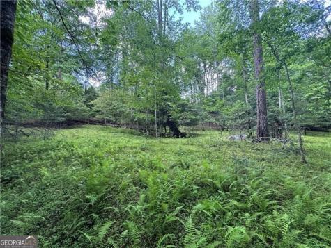 0 Ben Higgins Road Dahlonega GA 30533
