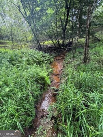 0 Ben Higgins Road Dahlonega GA 30533