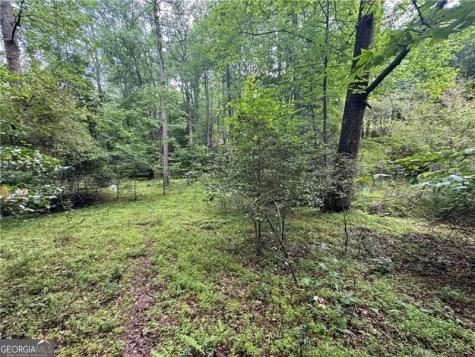 0 Ben Higgins Road Dahlonega GA 30533