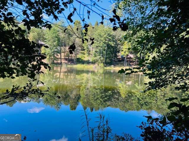 4 Maxwell Mountain Road Ellijay GA 30540