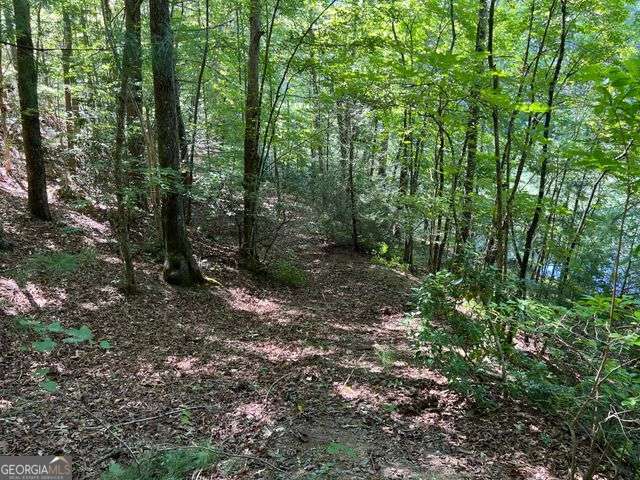 4 Maxwell Mountain Road Ellijay GA 30540