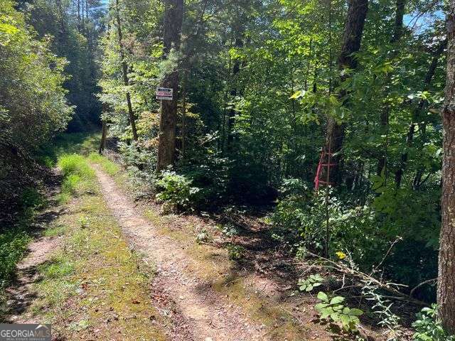 4 Maxwell Mountain Road Ellijay GA 30540