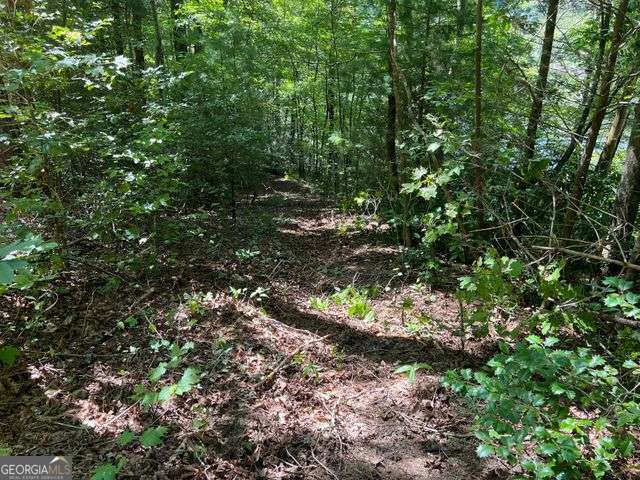 4 Maxwell Mountain Road Ellijay GA 30540