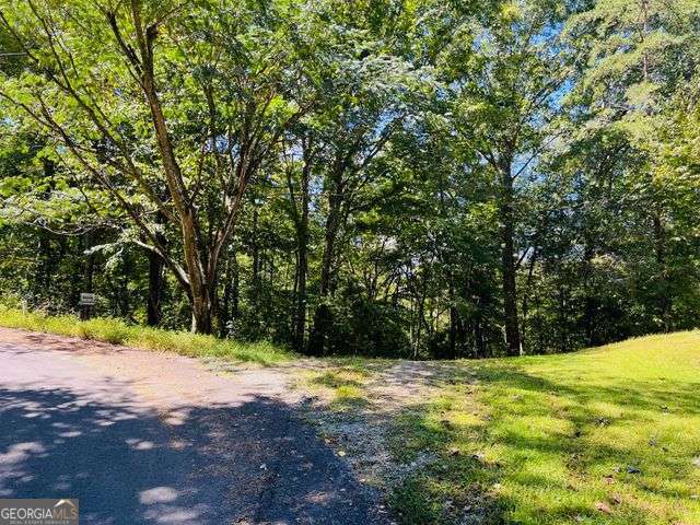 4 Maxwell Mountain Road Ellijay GA 30540