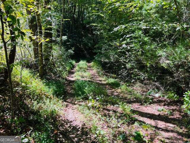 4 Maxwell Mountain Road Ellijay GA 30540
