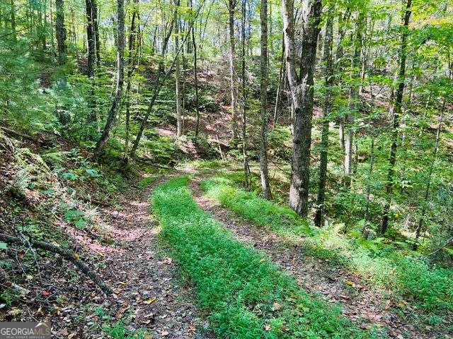 4 Maxwell Mountain Road Ellijay GA 30540