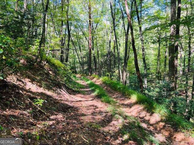 4 Maxwell Mountain Road Ellijay GA 30540