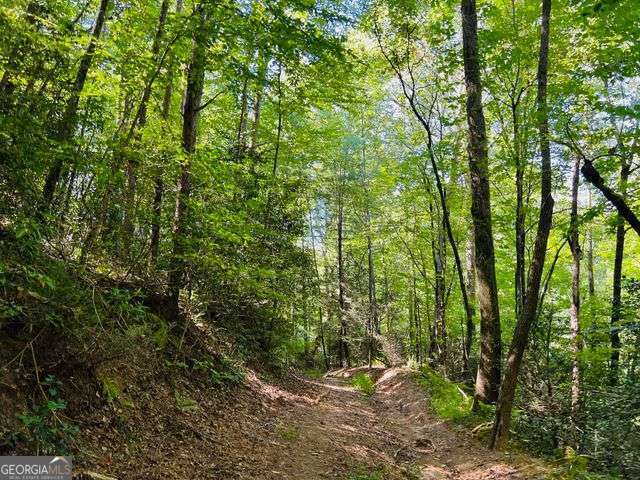 4 Maxwell Mountain Road Ellijay GA 30540