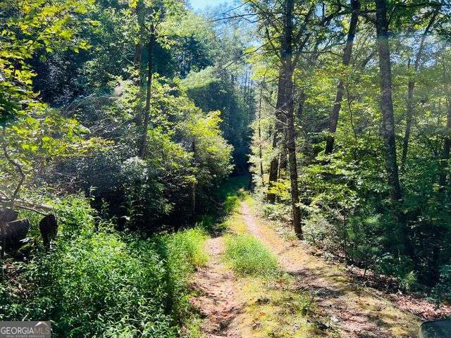 4 Maxwell Mountain Road Ellijay GA 30540
