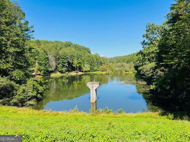 4 Maxwell Mountain Road Ellijay GA 30540