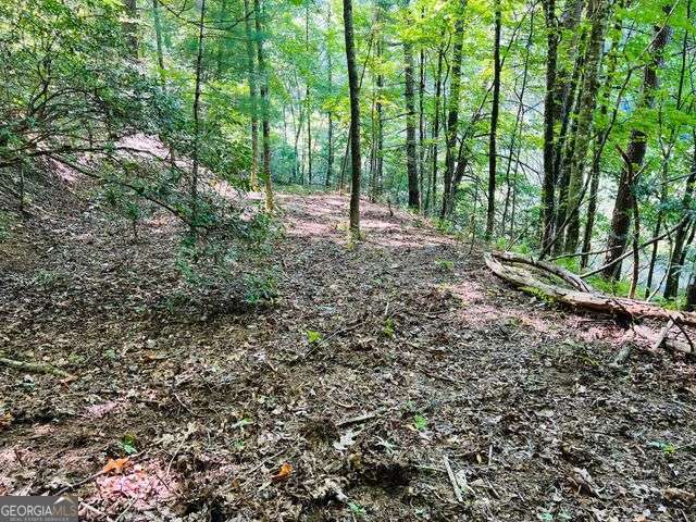 4 Maxwell Mountain Road Ellijay GA 30540