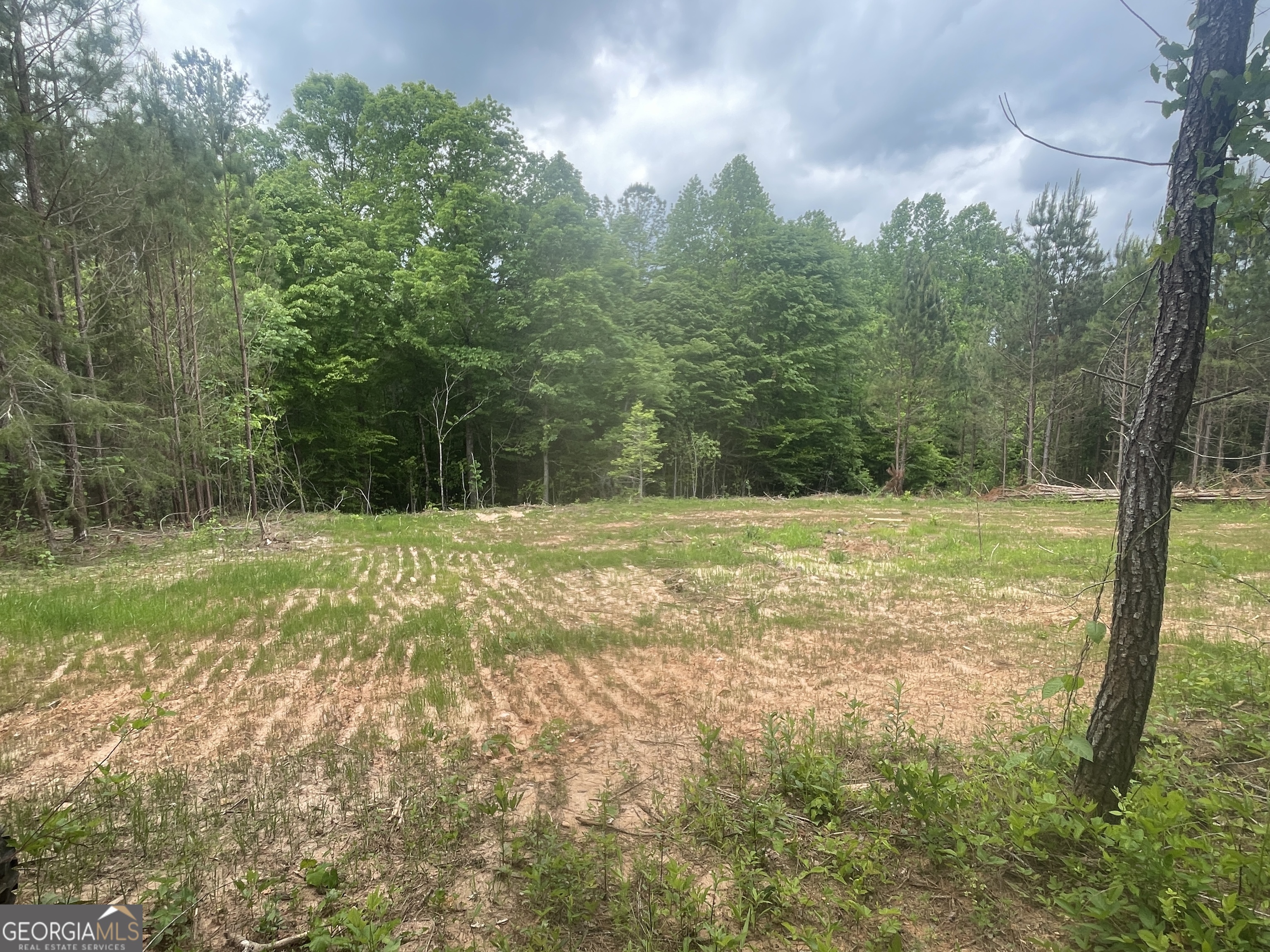 0 Bevis Road Parcel 9 Franklin GA 30217