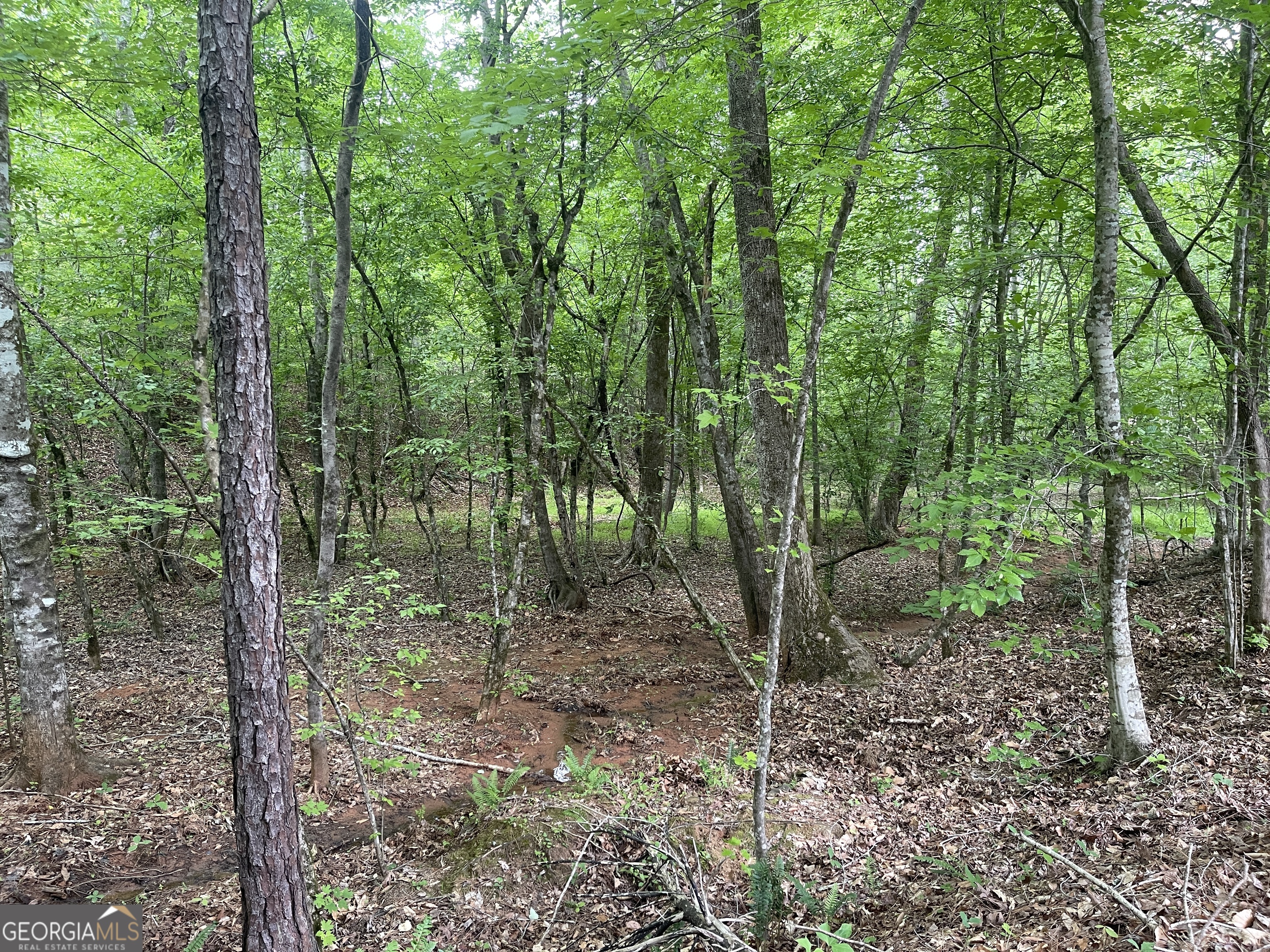 0 Bevis Road Parcel 9 Franklin GA 30217