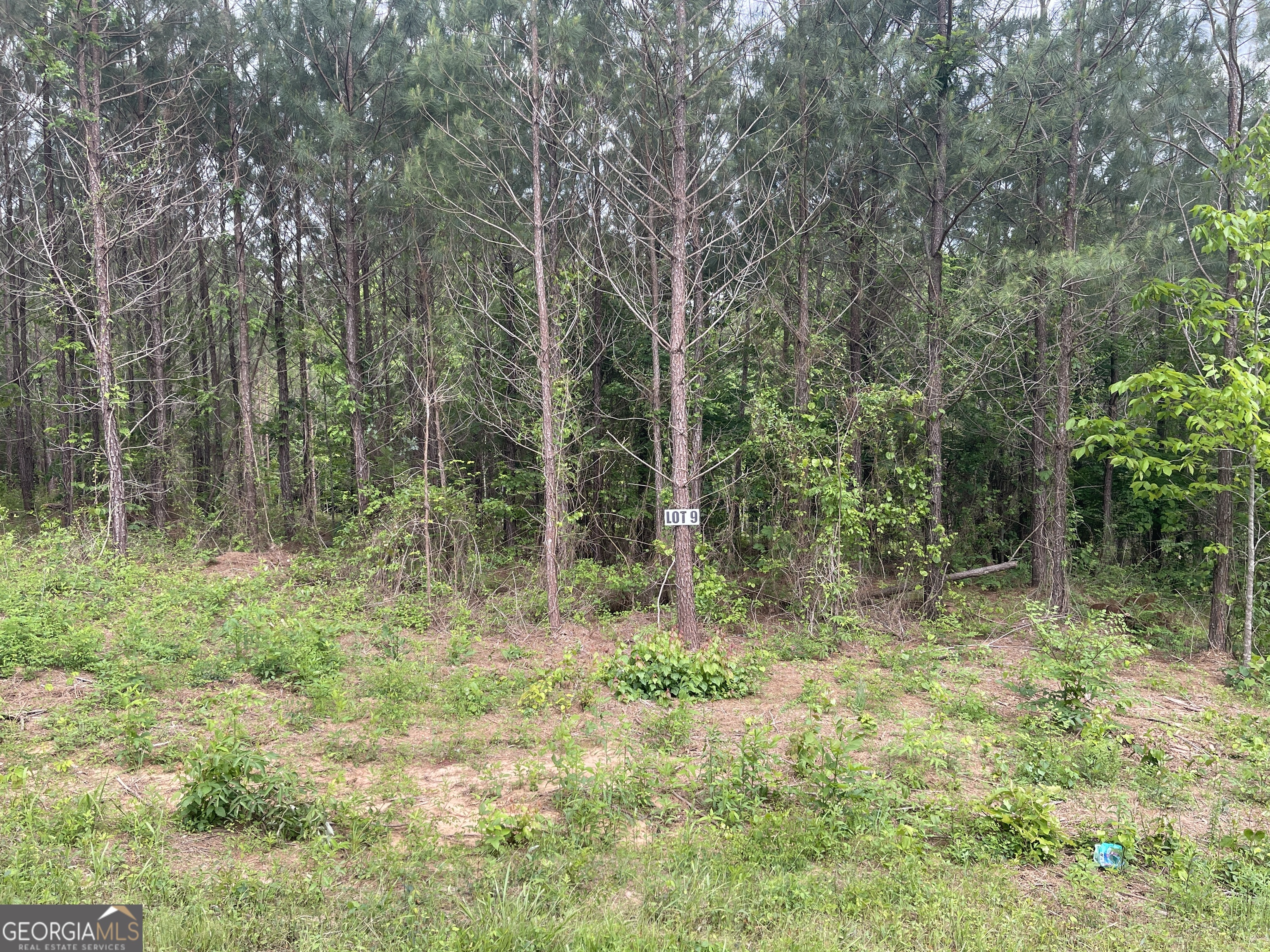 0 Bevis Road Parcel 9 Franklin GA 30217