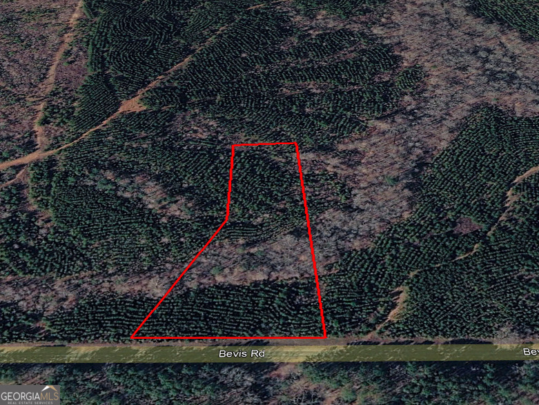 0 Bevis Road Parcel 9 Franklin GA 30217