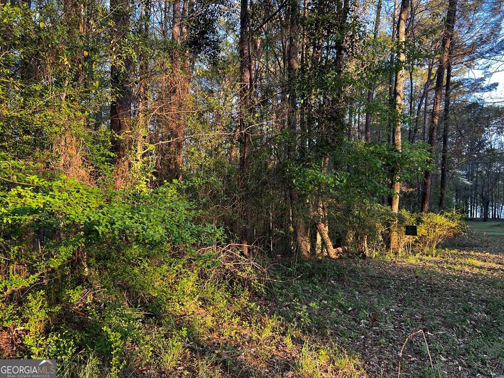 203 View Pointe Lane Lagrange GA 30241