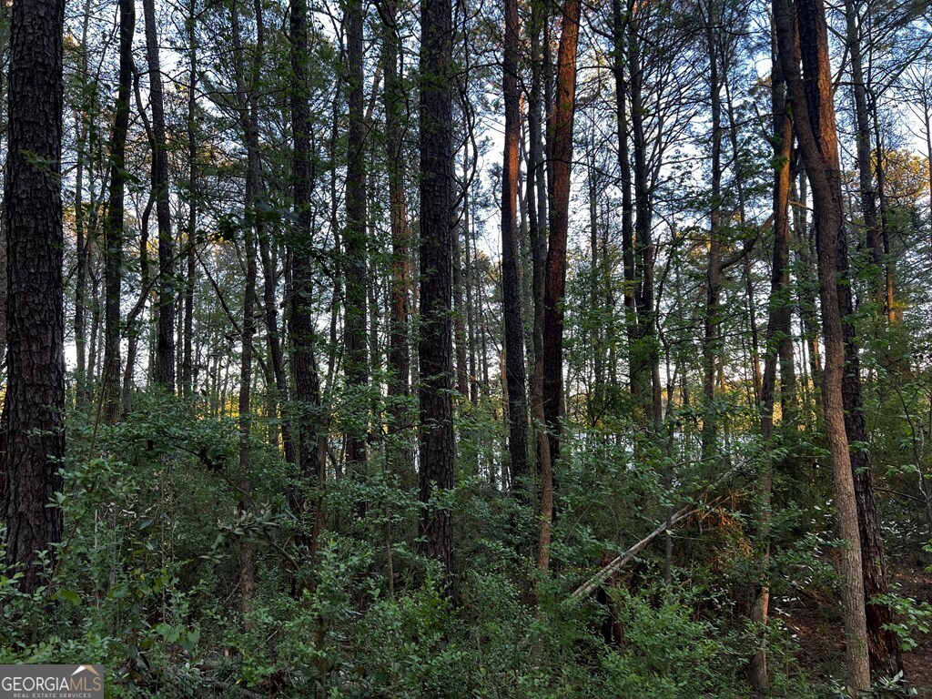 203 View Pointe Lane Lagrange GA 30241