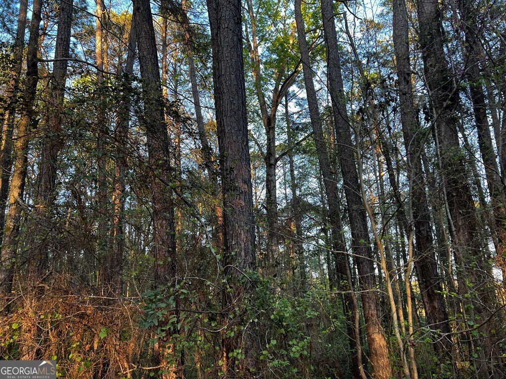 203 View Pointe Lane Lagrange GA 30241