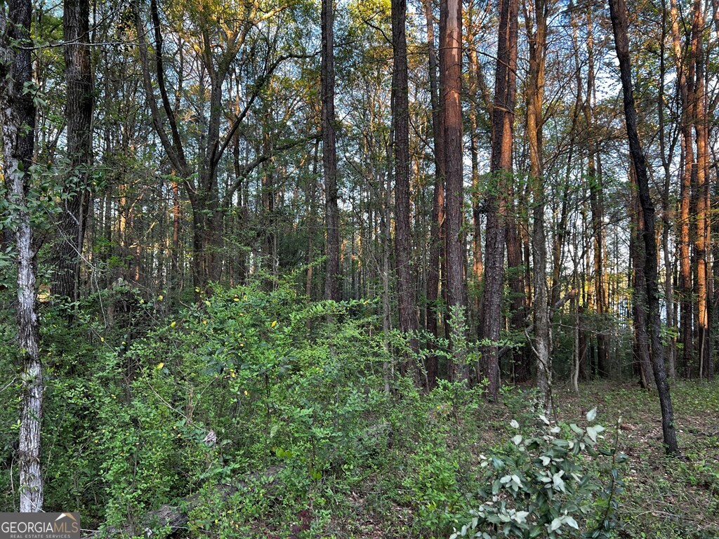 203 View Pointe Lane Lagrange GA 30241