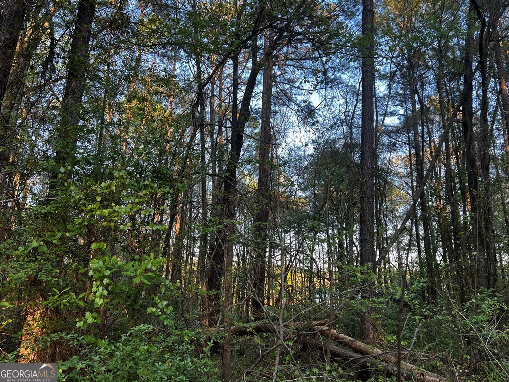 203 View Pointe Lane Lagrange GA 30241