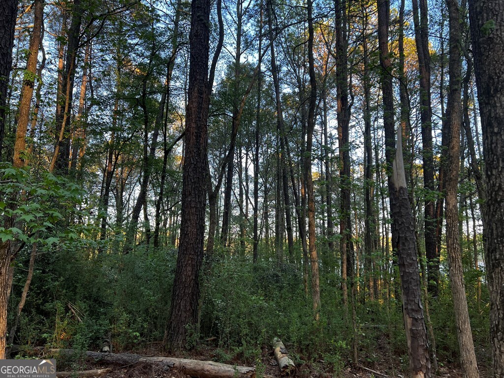 203 View Pointe Lane Lagrange GA 30241