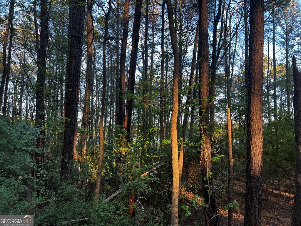 203 View Pointe Lane Lagrange GA 30241