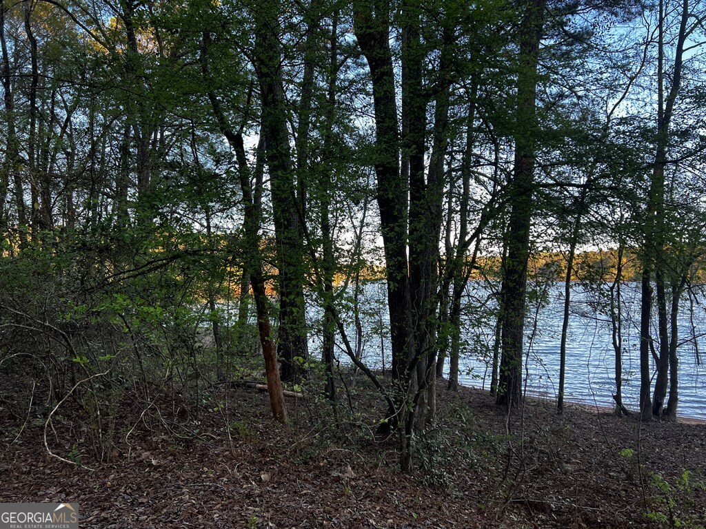 203 View Pointe Lane Lagrange GA 30241