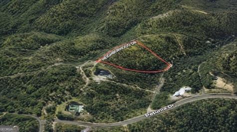 Lot 6 Arborwood Drive Dahlonega GA 30533