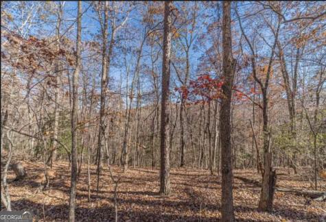Lot 6 Arborwood Drive Dahlonega GA 30533